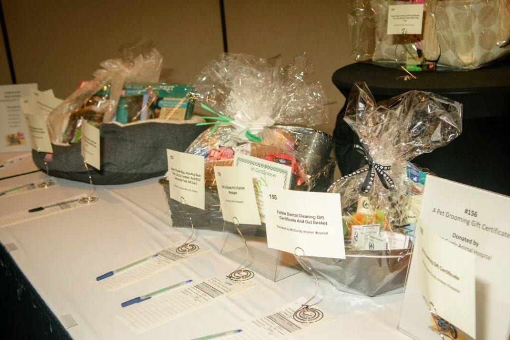 silent auction ideas